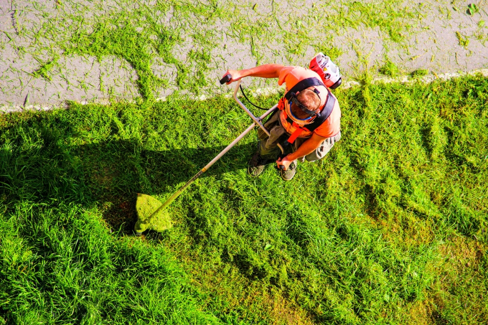 4 razones de utilizar un servicio de limpieza para tus &aacute;reas verdes
